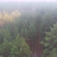 Over The Autumn Foggy Forest - VideoHive Item for Sale