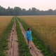A Young Girl in a Dress Walks Along a Wheat Field - VideoHive Item for Sale