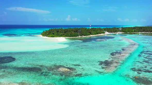 Aerial drone view abstract of paradise bay beach wildlife by blue green ocean and white sand backgro