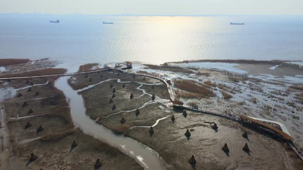 The Yangtze River Estuary, Xisha Wetland in Shanghai