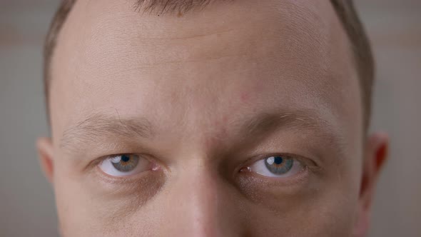 Wide open gray eyes of a young man. Looking directly at the camera, close-up