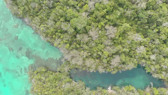 Aerial: top down tropical sea pristine coastline rainforest turquoise lagoon