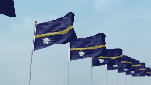 Nauru Row Of Flags 