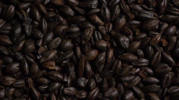 Rotating shot of barley and other beer brewing ingredients