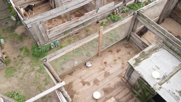 Aerial View of a Shelter for Stray Dogs.