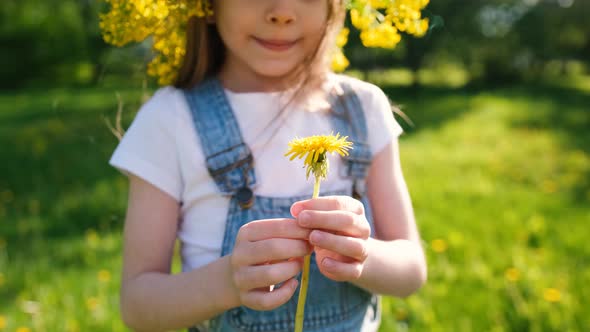 Portrait of a Little Girl in a Flower Wreath on Her Head Who Looks at a Dandelion in Her Hands