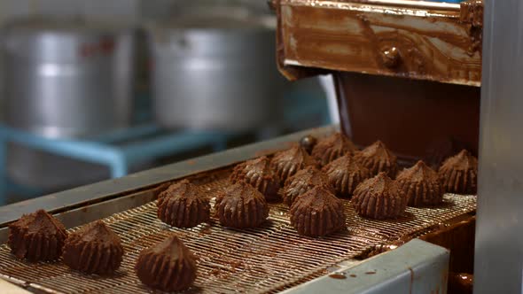 Candies Rapidly Moving on Conveyor.