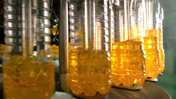 Sunflower Oil in the Bottle Moving on Production Line