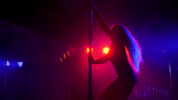 Young Hot Woman with Long Flowing Hair Performs Sensual Pole Dance Slow Motion