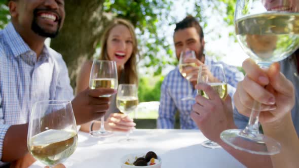 Group of friends toasting wine glasses