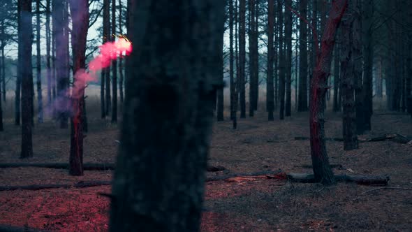 Lost Woman Tourist in the Forest Holds a Smoke Signal in Her Hand and Sends an SOS Distress Signal