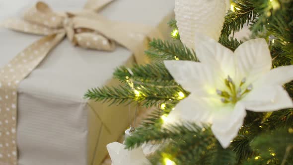 Gift Box Near the Christmas Tree