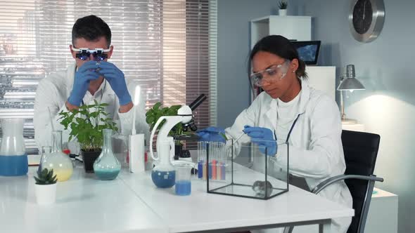 Black Female Scientist Dropping Fertilizer on Leaf and Giving to the Hamster in Chemistry Lab