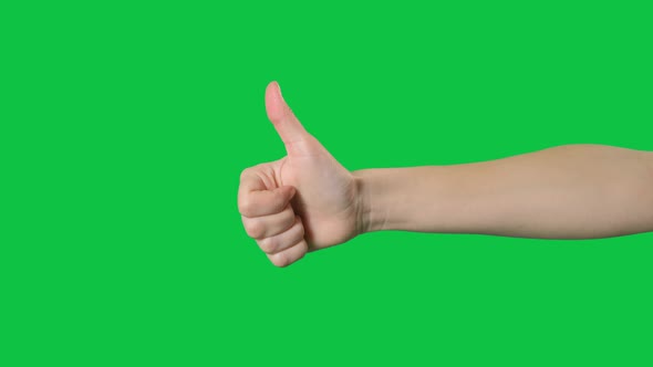 Hand Giving Thumb Up and Down on Green Screen Background