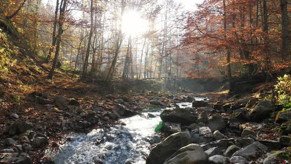 River flowing through the rocks