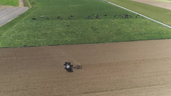 Aerial View of Amish Farm Worker Harvesting Spring Crop With Team of 6 Horses