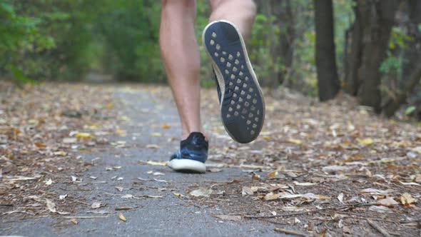 Legs of Sporty Man Running Along Trail in Early Autumn Forest. Male Feet of Young Athlete Sprinting