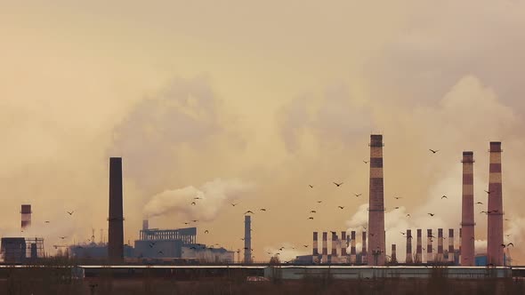 A flock of wild birds flies against the background of smoke and steam.