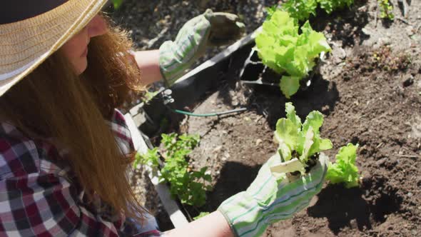 Happy caucasian woman wearing hat, gardening and smiling in garden