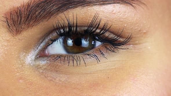 Closeup on a Female Eye