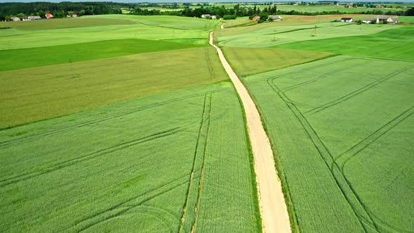 Aerial view of field and country road. Agriculture in Poland.