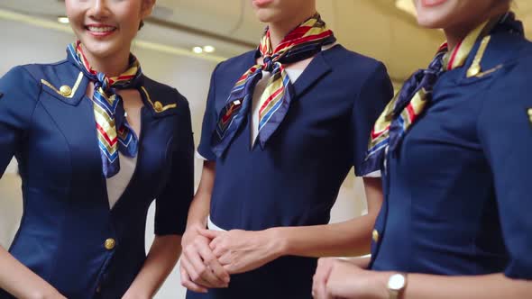 Group of Cabin Crew or Air Hostess in Airplane