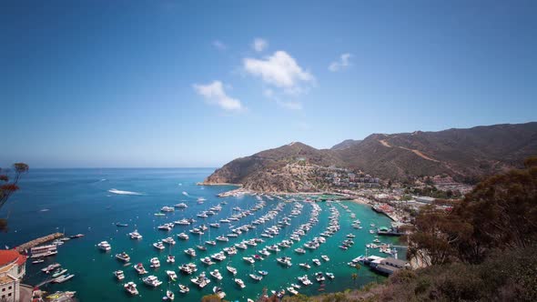 Bay and Town of Avalon on Catalina Island