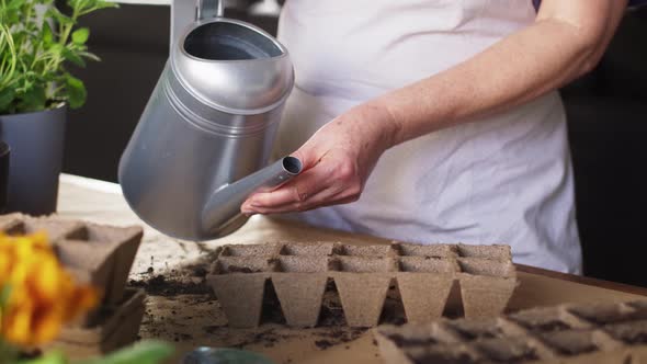 Close up video of watering the seeds in seedling trays. Shot with RED helium camera in 8K.