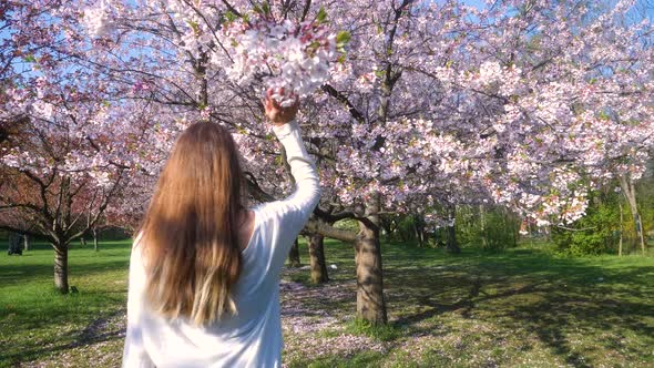 Girl walking in Japanese Garden with blooming trees. Young woman with long hair enjoys spring