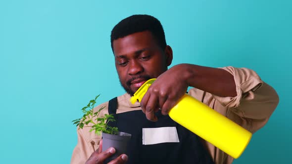 Mixed Race Florist Man in Black Apron Taking Care of Flowers Blue Background