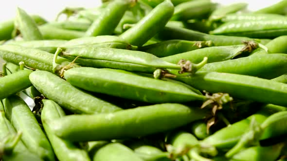 Fresh Green Polka Dot Pods Rotation Close Up