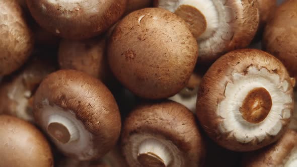 Top View Of Uncooked Fresh Raw Royal Champignon Mushrooms Rotating Close Up