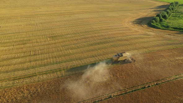 Aerial View Combine Harvesting Wheat