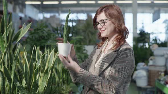 Attractive Young Woman Chooses Beautiful Green Flowers in Pot for Decorating Home or Office While
