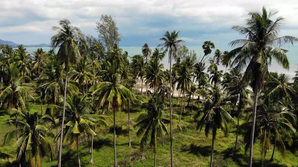 Unusual Coast of White Sand. Breathtaking Landscape of Sandy Wavy Seaside. Paradise Islands in Asia