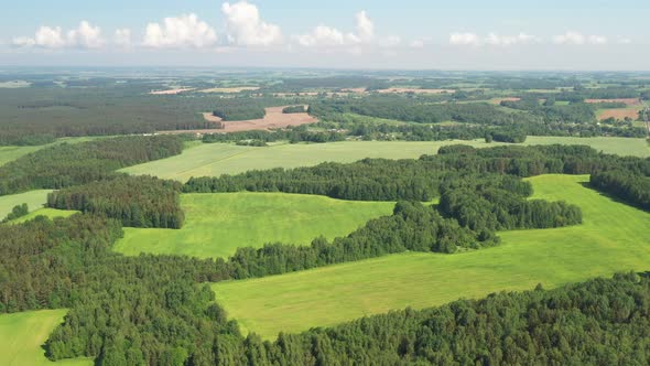 View From the Height of the Green Field and the Forest Near Minsk