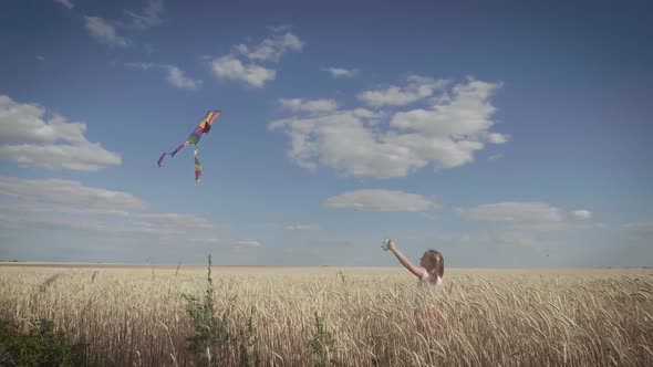 Pretty Girl Playing with Kite in Wheat Field on Summer Day. Childhood, Lifestyle Concept.