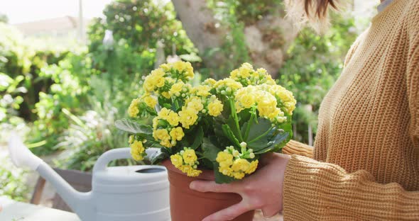 Smiling caucasian woman repotting yellow flowers in sunny garden