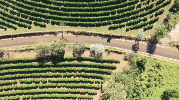 Rural landscape aerial view. Nature scenery