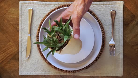 Plant in pot on dinner plate with cutlery, person picks up and turns on side