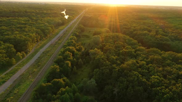 Railway Through The Forest