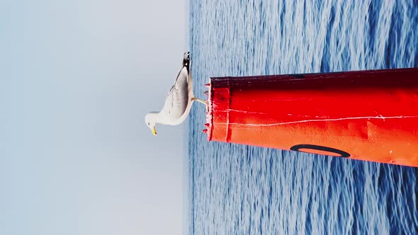 a Seagull Sits on a Red Stamp Regulating the Movement of Seagoing Vessels Calm Sea on a Sunny Day in