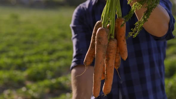 Farmer Man Holding Fresh Picked Carrots