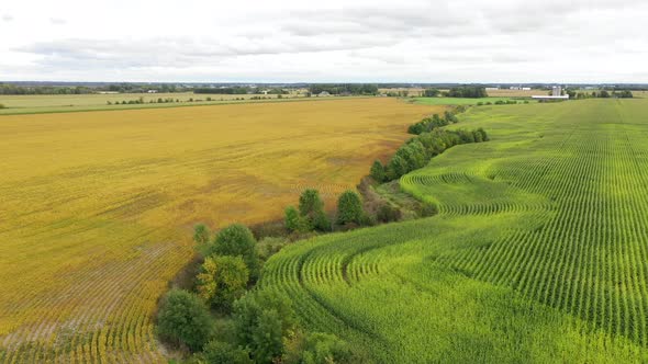 farm fields separated by twisting creek and strong contrasting colors