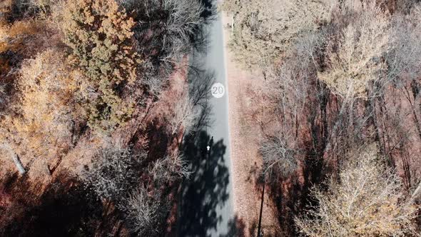  top View of Empty Road in Autumn City Park with Two Young Professional Cyclists at Sunny Warm Day