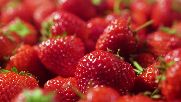 Strawberries Red Juicy Ripe Strawberries Closeup Delicious Summer Berries