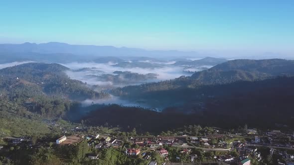 Green Tree Plantations and Long Asphalt Mountain Serpentine