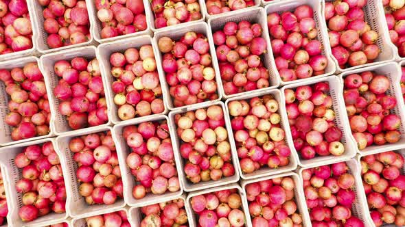 Aerial View of Boxes with Pomegranate Fruits