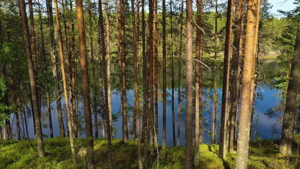 Aerial View of the Lake and Forest in Finland