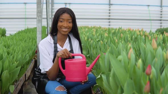 A Young AfricanAmerican Florist Sits Between Rows of Pink Tulips and Holds a Red Watering Can